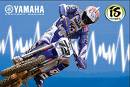 everts
